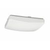 Ikona: AKCE ECOLITE LED vnitřní vysoce úsporné stropní/nástěnné svítidlo 22W, ELIS WY002-22W/LED N16